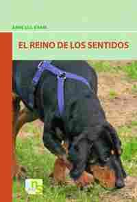 REINO DE LOS SENTIDOS