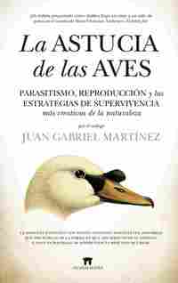 LA ASTUCIA DE LAS AVES. PARASITISMO, REPRODUCCIÓN Y LAS ESTRATEGIAS DE SUPERVIVENCIA MÁS CREATIVAS D