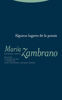 ALGUNOS LUGARES DE LA POESIA