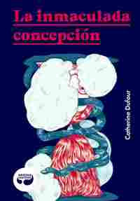 LA INMACULADA CONCEPCIÓN