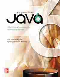 PROGRAMACION EN JAVA 6
