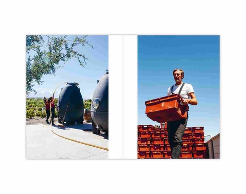 CRÓNICAS DEL VINO ARGENTINO