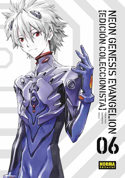 NEON GENESIS EVANGELION (ED. COLECCIONISTA), 6