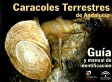 CARACOLES TERRESTRES DE ANDALUCIA