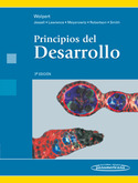 (3º) PRINCIPIOS DEL DESARROLLO