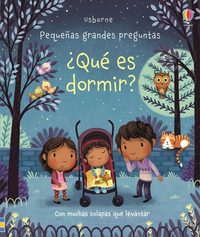 ¿QUÉ ES DORMIR?. PEQUEÑAS GRANDES PREGUNTAS
