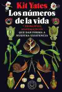 LOS NÚMEROS DE LA VIDA