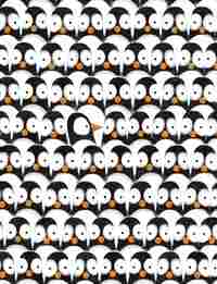 PROBLEMAS DE PINGÜINO, LOS