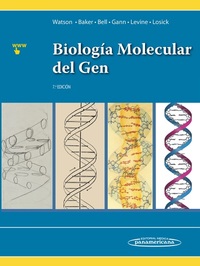 7º. BIOLOGÍA MOLECULAR DEL GEN