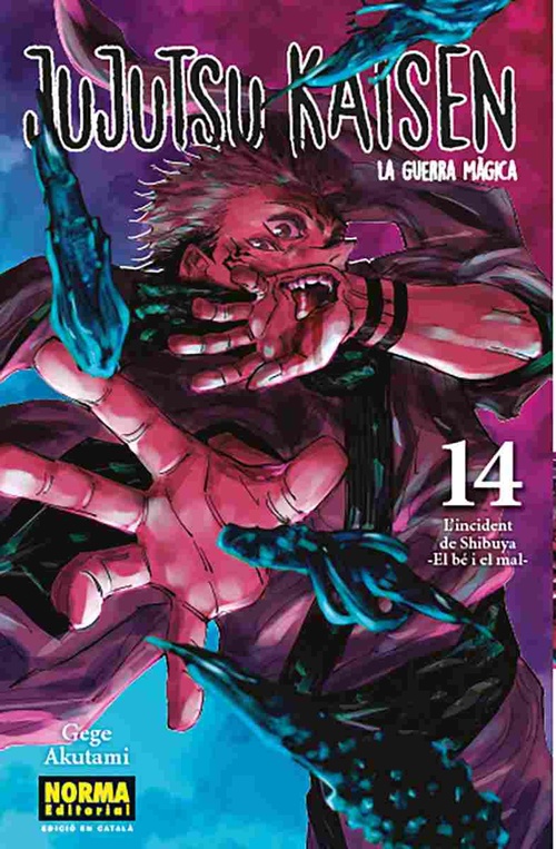 JUJUTSU KAISEN, 14. (CATALAN)