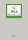 CONCEPTOS BÁSICOS DE DERECHO PROCESAL CIVIL