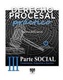 3. DERECHO PROCESAL PRÁCTICO. PARTE SOCIAL. COMENTARIOS, ESQUEMAS Y ESCRITOS
