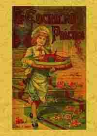 EL COCINERO PRACTICO
