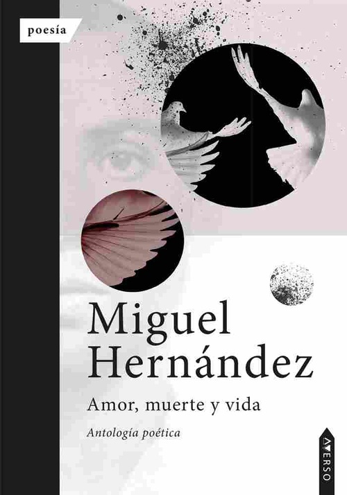AMOR MUERTE Y VIDA