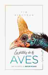 LOS SENTIDOS DE LAS AVES. QUÉ SE SIENTE AL SER UN PÁJARO