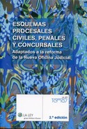 (2ª) ESQUEMAS PROCESALES CIVILES, PENALES Y CONCURSALES