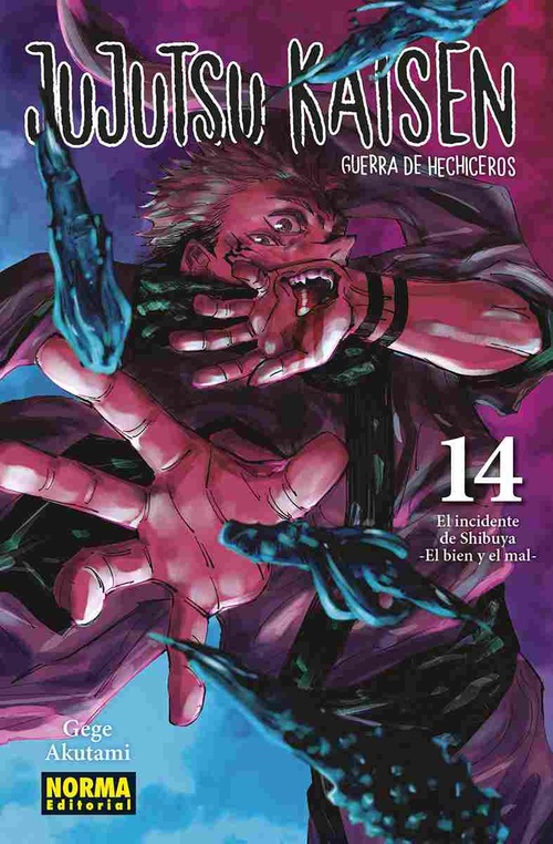 JUJUTSU KAISEN, 14