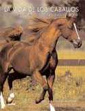 VIDA DE LOS CABALLOS, LA