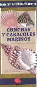 CONCHAS Y CARACOLES MARINOS                                                     INTRODUCCION A LAS E