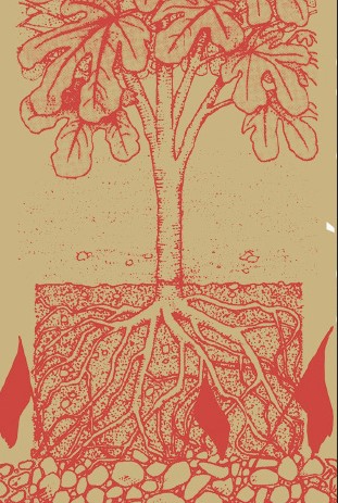 AUTONOMÍA Y SUBSISTENCIA. UNA TEORÍA ECOSOCIAL Y MATERIALISTA DE LA LIBERTAD