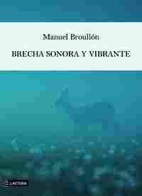 BRECHA SONORA Y VIBRANTE