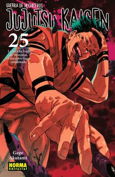 JUJUTSU KAISEN, 25