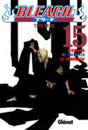 15. BLEACH