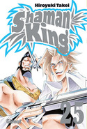 25. SHAMAN KING