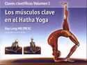 I. LOS MUSCULOS CLAVE EN EL HATHA YOGA