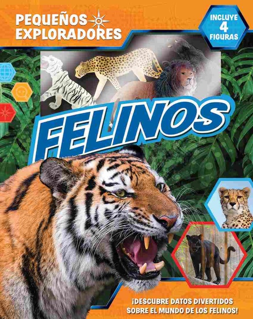FELINOS. PEQUEÑOS EXPLORADORES