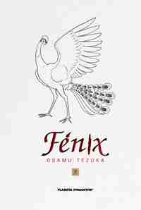 7. FÉNIX