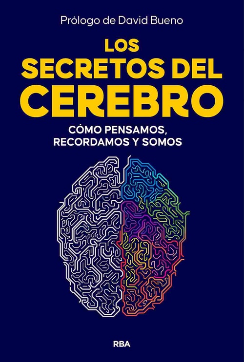 LOS SECRETOS DEL CEREBRO