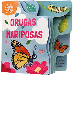 ORUGAS Y MARIPOSAS. EL CICLO DE LA VIDA.