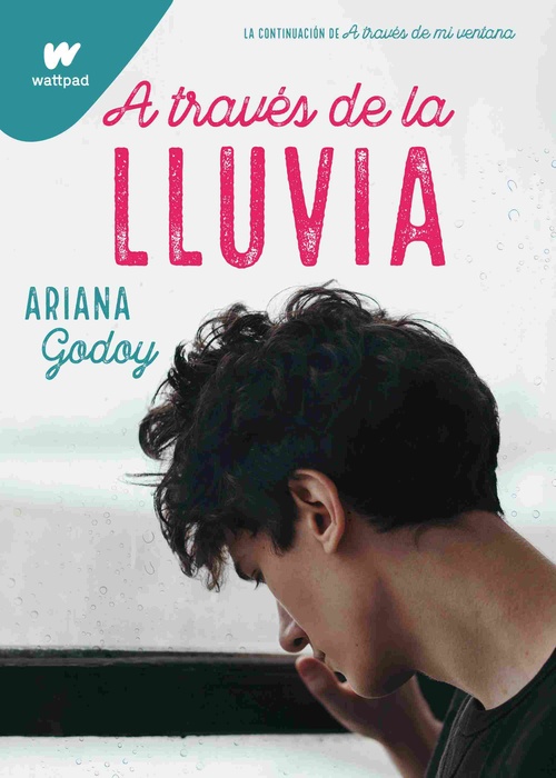 A TRAVÉS DE LA LLUVIA. A TRAVES DE MI VENTANA, 2