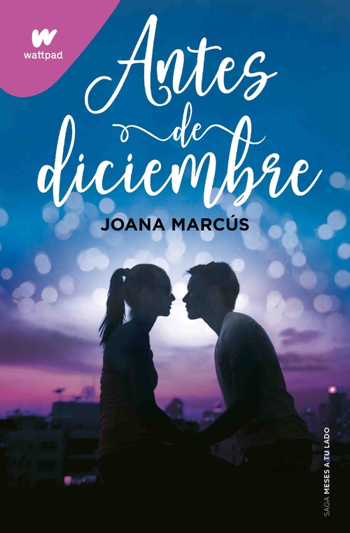 ANTES DE DICIEMBRE. MESES A TU LADO, 1
