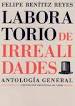 LABORATORIO DE IRREALIDADES