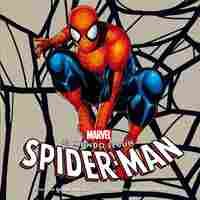 EL MUNDO SEGUN SPIDERMAN