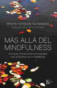 MÁS ALLÁ DEL MINDFULNESS. UNA GUIA INTRODUCTORIA A LOS ESTADOS MÁS PROFUNDOS DE LA MEDITACION