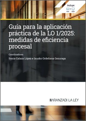 GUÍA PARA LA APLICACIÓN PRÁCTICA DE LA LO 1/2025: MEDIDAS DE EFICIENCIA PROCESAL