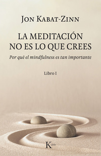 LA MEDITACIÓN NO ES LO QUE CREES. POR QUÉ EL MINDFULNESS ES TAN IMPORTANTE