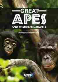 GREAT APES AND THEIR BASIC RIGHTS