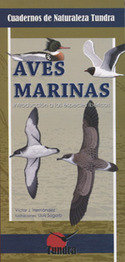 AVES MARINAS INT.ESPECIES IBERICAS