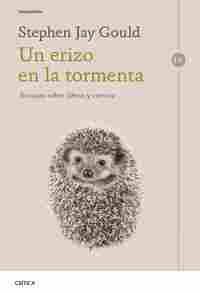 UN ERIZO EN LA TORMENTA