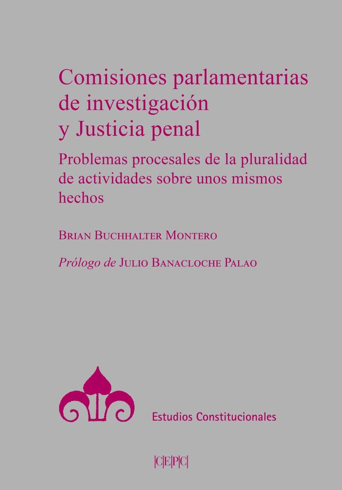 COMISIONES PARLAMENTARIAS DE INVESTIGACIÓN Y JUSTI