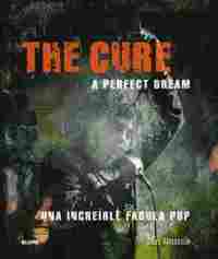 THE CURE. A PERFECT DREAM. UNA INCREÍBLE FÁBULA POP