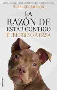 RAZON DE ESTAR CONTIGO. EL REGRESO A CASA