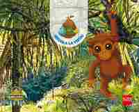 4 AÑOS. 2º EXPLORA SELVA A LA VISTA  2ºTRIMESTRE 17