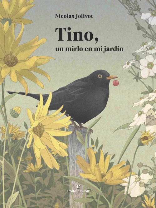 TINO, UN MIRLO EN EL JARDIN