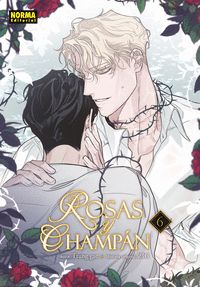 ROSAS Y CHAMPÁN 6