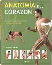 ANATOMIA DEL CORAZON